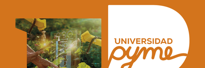 el dia de cordoba foto web 2